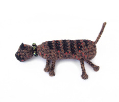 Schildpattkatze